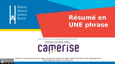 Organisateur graphique : Résumé en UNE phrase