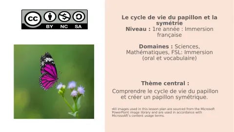 Le cycle de vie du papillon et la symétrie (1re année – immersion)
