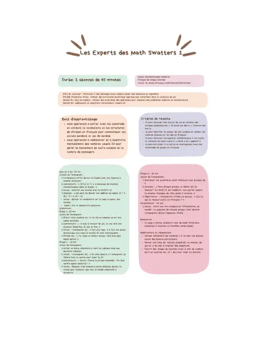 Les Experts de Math Swatters 1