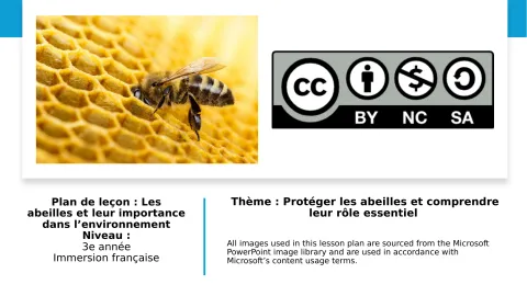 Les abeilles et leur importance dans l’environnement (3e année)